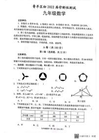 2022年成都市青羊区九年级二诊数学试卷  无答案