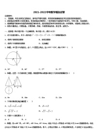 2022届内蒙古自治区赤峰市翁牛特旗乌丹第三中学中考数学仿真试卷含解析