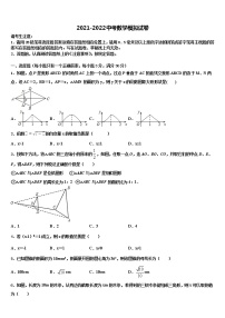 2022届辽宁省锦州市滨海新区实验校初中数学毕业考试模拟冲刺卷含解析