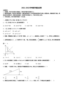 2022届江苏省镇江句容市达标名校中考数学猜题卷含解析