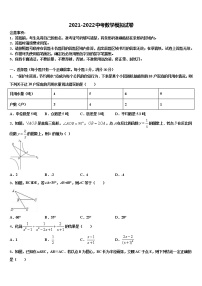 2022届山东省寿光市中考数学最后冲刺浓缩精华卷含解析