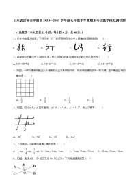 济南平阴县2020－2021七年级下期末考试数学模拟测试题（无答案）