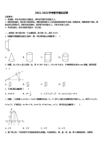 2022届新疆维吾尔自治区第二师三十团中学中考押题数学预测卷含解析