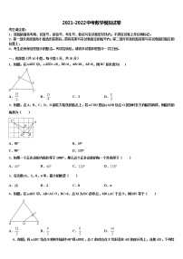 2022届温州市重点中学初中数学毕业考试模拟冲刺卷含解析