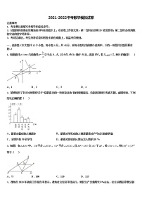 2022届新疆生产建设兵团第二师三十团中学十校联考最后数学试题含解析