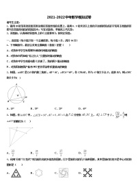 2022届四川省成都树德中学中考数学全真模拟试题含解析