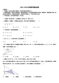 2022届新疆乌鲁木齐第十三中学中考数学模拟精编试卷含解析