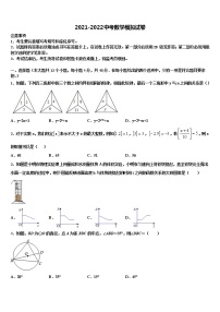 2022届浙江省绍兴市上虞实验中学中考数学最后冲刺浓缩精华卷含解析