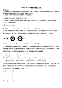 2022届浙江省金华义乌市十校联考最后数学试题含解析