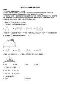 2022届重庆九龙坡区重点名校中考数学对点突破模拟试卷含解析