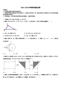 2022届浙江省桐乡市第六中学中考三模数学试题含解析