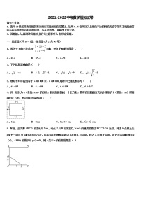 2022年安徽省马鞍山市雨山建中学中考数学模拟预测题含解析