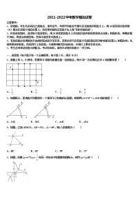 2022年广东省深圳市星火教育市级名校中考一模数学试题含解析