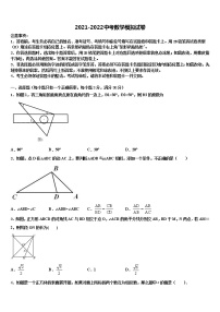 2022年广西贵港市平南县中考数学适应性模拟试题含解析