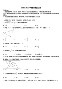 2022年广东省中大附中达标名校十校联考最后数学试题含解析