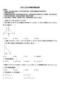 2022年湖北省随州市名校中考数学模拟预测试卷含解析