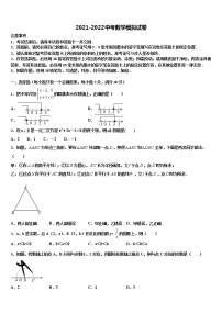 2022年湖北省丰溪镇中学中考数学对点突破模拟试卷含解析