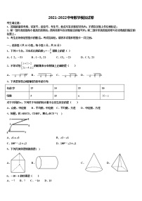 2022年湖北省枣阳市第五中学中考三模数学试题含解析