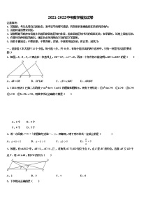 2022年湖南省武汉市常青第一校中考数学适应性模拟试题含解析