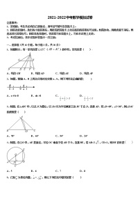 2022年湖南省长沙市青雅丽发中学中考数学仿真试卷含解析