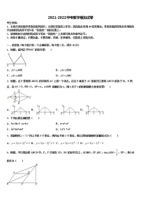 2022年徽省临泉中考数学模试卷含解析