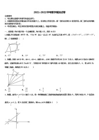 2022年江苏省徐州市沛县中考数学考试模拟冲刺卷含解析