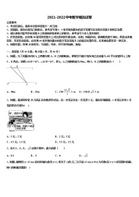 2022年山东省临沂沂水县联考中考数学最后冲刺模拟试卷含解析