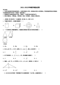 2022年山东省青岛43中重点中学中考四模数学试题含解析