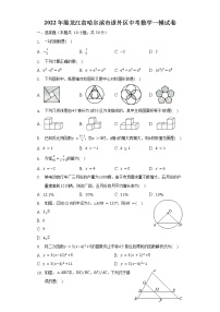 2022年黑龙江省哈尔滨市道外区中考数学一模试卷（含解析）