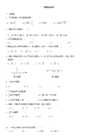 2020-2021学年4.3 实数精练