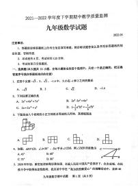 山东省泰安市肥城市2021-2022学年九年级下学期期中（一模）考试数学试题（含答案）