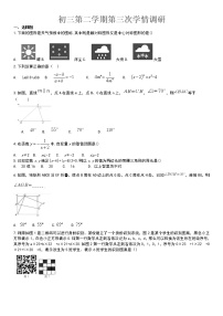 初三第二学期第三次调研-无答案练习题