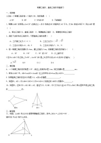 北师大版八年级下册第一章 等腰三角形、直角三角形专题复习（无答案）