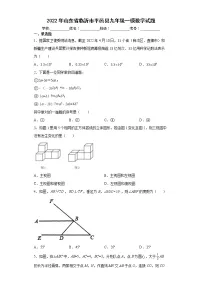 2022年山东省临沂市平邑县九年级一模数学试题(word版含答案)
