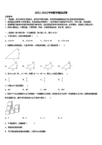 2022年四川省眉山市百坡初级中学中考数学模拟试题含解析