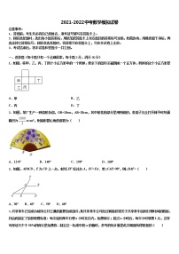 2022年四川省南充市陈寿中学中考数学适应性模拟试题含解析