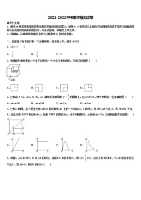 2022年新疆奎屯市第八中学市级名校中考数学模拟预测试卷含解析