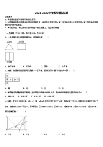 2022年四川省成都市高新区重点名校中考数学模拟精编试卷含解析