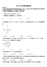 2022年四川省广元苍溪县联考中考数学适应性模拟试题含解析