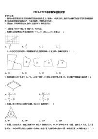 安徽省池州市2022年初中数学毕业考试模拟冲刺卷含解析