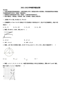 安徽省阜阳地区2022年中考数学押题试卷含解析