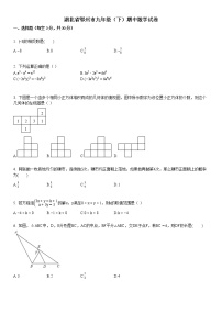 2016-2017学年湖北省鄂州市九年级（下）期中数学试卷