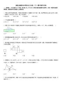 2016-2017学年湖北省襄阳市枣阳市九年级（下）期中数学试卷