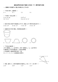 2016-2017学年湖北省鄂州市梁子湖区九年级（下）期中数学试卷