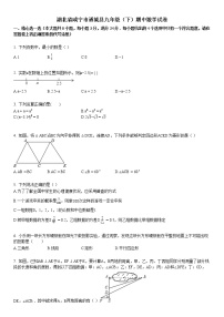 2013-2014学年湖北省咸宁市通城县九年级（下）期中数学试卷