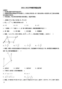 北京市教育院附中2021-2022学年中考数学最后冲刺浓缩精华卷含解析