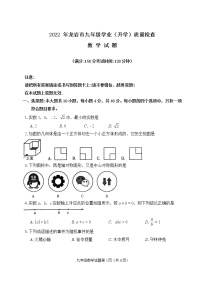 2022年福建省龙岩市九年级学业（升学）质量检查数学试卷(word版含答案)