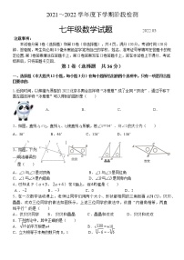 山东省临沂市临沭县2021-2022学年七年级下学期期中考试数学试题（含答案）