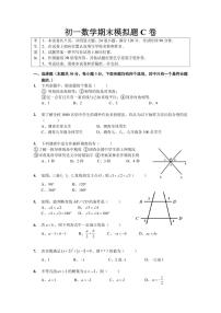 2022人教版初一下册数学期末模拟卷C试卷 无答案