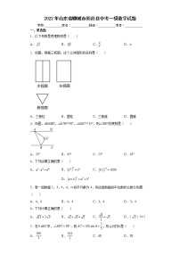 2022年山东省聊城市阳谷县中考一模数学试题(word版含答案)